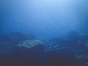 日本が深海レアアース泥の試掘に成功、中国ネット「精錬できるのか？」「一切売らなければ」