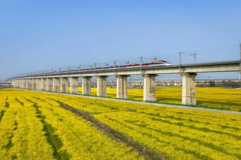 花畑の間を列車が走る、各地で「春限定」の絶景―中国