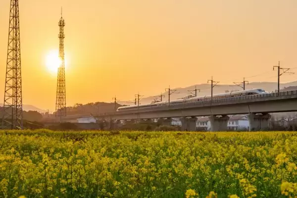 「花畑の間を列車が走る、各地で「春限定」の絶景―中国」の画像