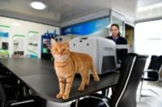 メーデー連休控え、「高速鉄道快運」がペット連れ旅行をサポート―中国