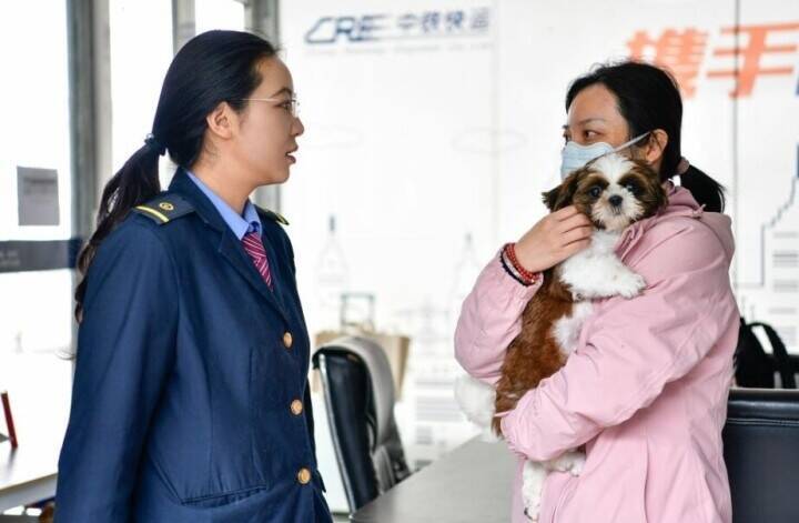 メーデー連休控え、「高速鉄道快運」がペット連れ旅行をサポート―中国