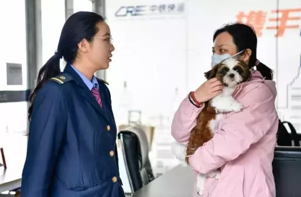 「メーデー連休控え、「高速鉄道快運」がペット連れ旅行をサポート―中国」の画像