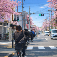 これでは日本で車の運転できないと嘆き＝中国ネット「本当に不合理」「現実を無視した政策」