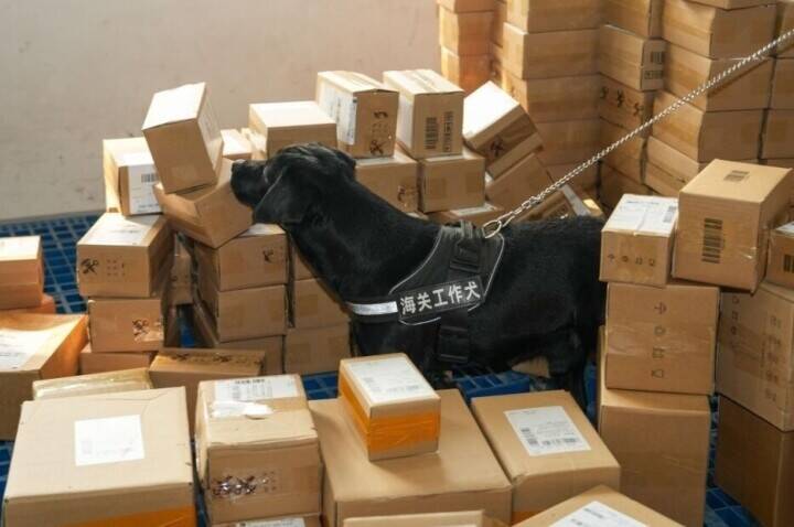 湖南省長沙市、出入国する小包の通関効率アップで高い質の発展を後押し―中国