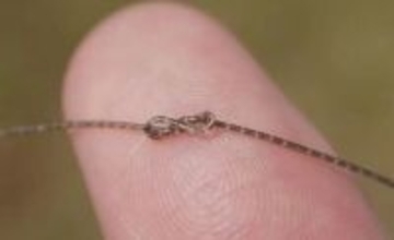 中国の科学者、「計算」可能な新型繊維の開発に成功