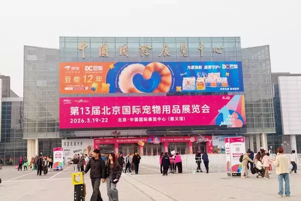 「中国でエキゾチックペット人気拡大、飼育モラルや衛生リスクに懸念も―独メディア」の画像