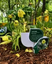 希少な絶滅危惧種の高山植物が北京での展示開始翌日に枯れる？主催者「撤去してケアする」―中国