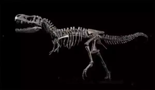 国家自然博物館でティラノサウルス特別展が開幕―中国