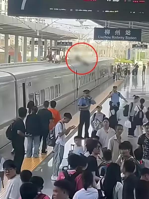 高速鉄道の屋根によじ登った男性が感電、けいれんし火花も「命に別条ない」―中国