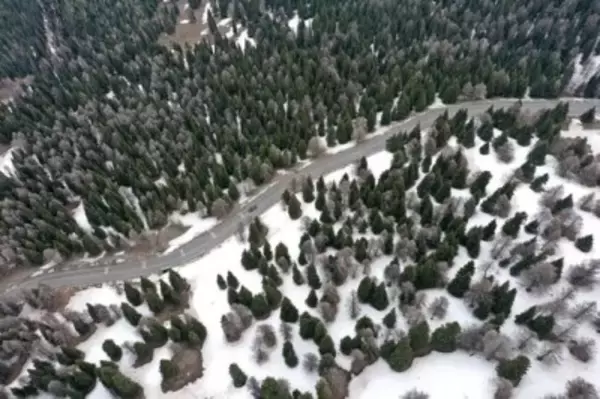 新疆の「最も美しい天山道路」S249線、冬季閉鎖が解除され車両の通行再開