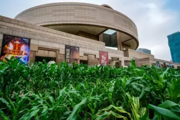 世界最大級・最高水準の古代アメリカ文明展、上海博物館で開幕―中国メディア