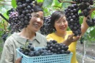 2025年GDP、5．0％増の140兆元超に―中国