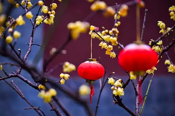 「「春の経済」が熱気、花見も春フードもピーク迎える―中国」の画像