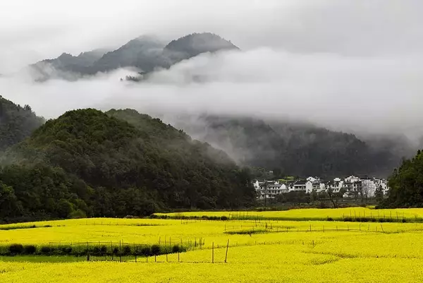 「「春の経済」が熱気、花見も春フードもピーク迎える―中国」の画像