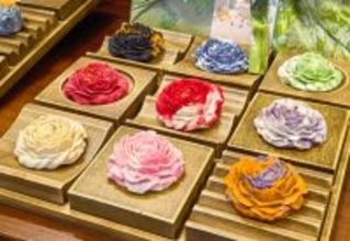 花見人気が「春の経済」を盛り上げる―中国