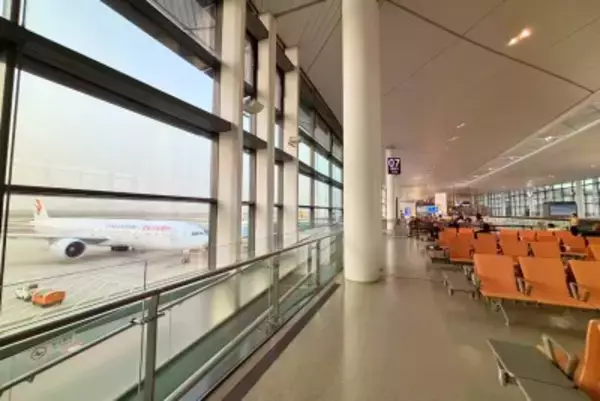 2026年1月の日中航空路線の4割が販売停止、その輸送力はどこへ向かう？―中国メディア