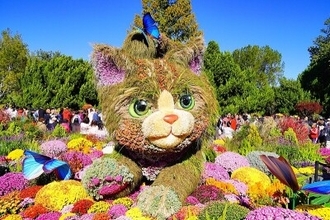 北京の北海公園で菊の花展、ネコの植物オブジェが大人気に―中国