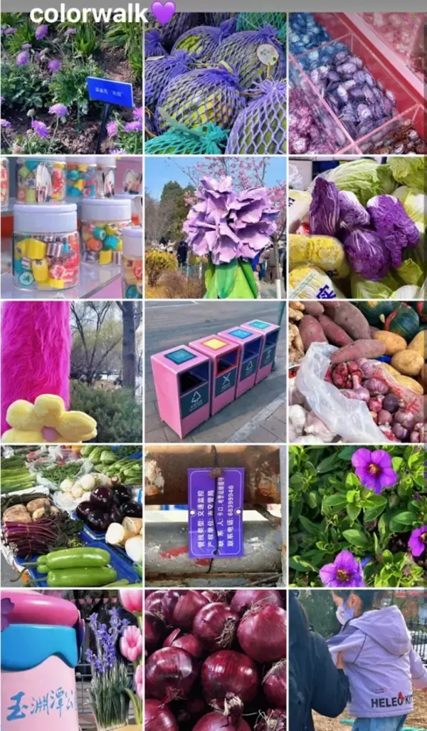 中国で色彩を探す散歩の「カラーウオーク」が人気