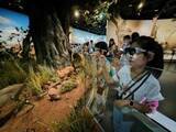 「夏休みの親子旅行で人気を集めた国内トップ3は成都、北京、上海―中国」の画像1
