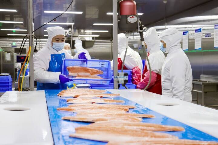 「新疆産のサーモンは日本の魚より質が良い」と中国業者、中国ネット「そもそも日本産は誰が食べてるの？」