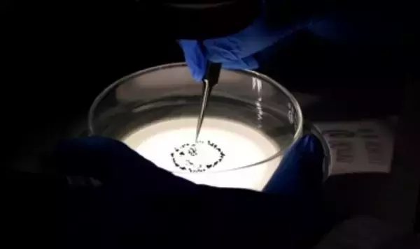 「嫦娥6号」が採取した玄武岩サンプル、月の地質進化解明の重要な手掛かりを提供―中国