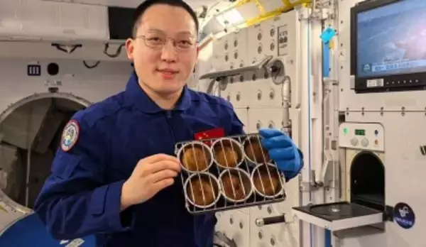 新たな宇宙グルメ！有人宇宙船「神舟21号」乗組員がケーキ作りに挑戦！―中国メディア