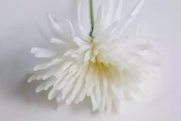 村山富市元首相の逝去に深い哀悼の意―中国外交部