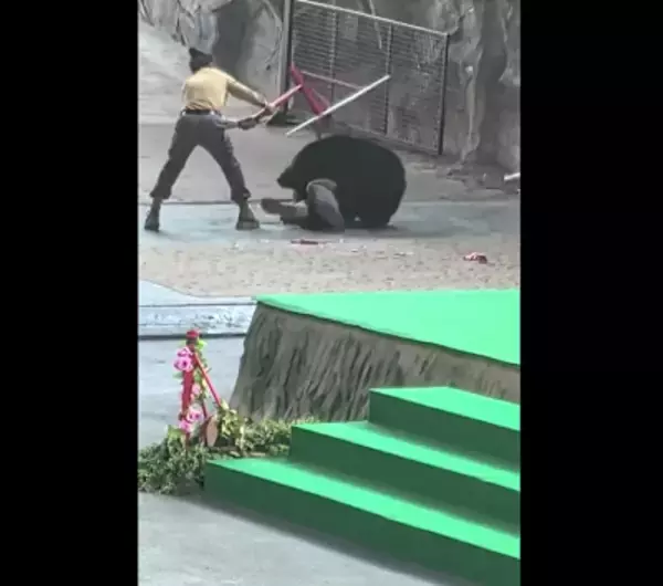 動物園のショーの最中に調教師がクマに襲われる―中国メディア