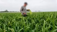 中国、猛毒農薬使用の実態が明らかに―中国メディア