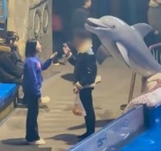水族館のシロイルカ、館内で注意されても喫煙続けた男性に水を吹きかける―中国