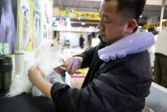 新たな消費シーンを切り開くペット経済―中国