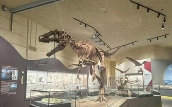 世界初の翼竜博物館、中国の新疆ハミに開館