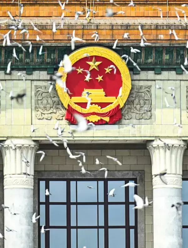 「中国の軍事パレードで空を舞った8万羽のハトはどこから来た？」の画像