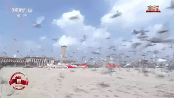 「中国の軍事パレードで空を舞った8万羽のハトはどこから来た？」の画像
