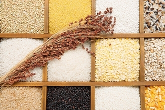 「中国の食糧」生産で主に「中国の種子」を用いることが可能に―中国農業農村部