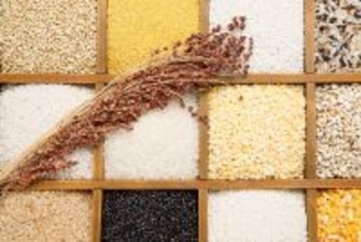 「中国の食糧」生産で主に「中国の種子」を用いることが可能に―中国農業農村部