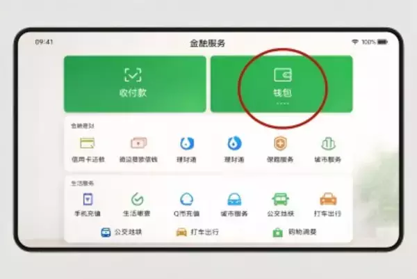 特大密航事件を摘発、勧誘の主力は16〜18歳の青少年―中国メディア