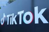 「TikTokが世界の消費を再構築、普及率95％の市場も―DHL報告」の画像1