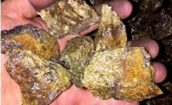 中国の科学者、ナノスケールでの金形成の動的過程を初めて可視化