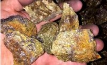 中国の科学者、ナノスケールでの金形成の動的過程を初めて可視化