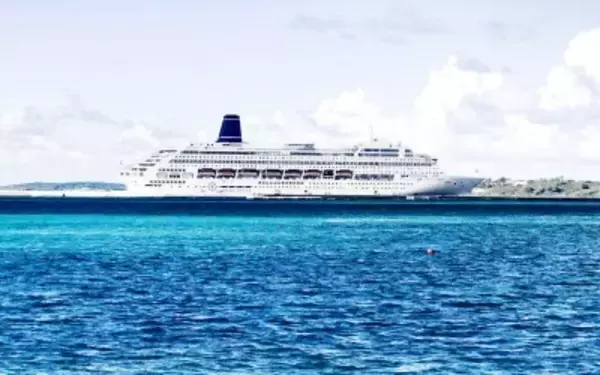 日本でクルーズ船から降り遅れた台湾人、「入国審査官呼び戻して」と要求―台湾メディア