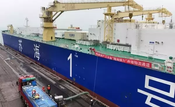 「サーモンが10万トン級養殖工船へ「引っ越し」―山東省煙台市」の画像