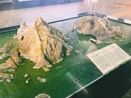 独島広報活動の韓国歌手、前科を理由に日本で入国拒否される＝韓国ネット「愛国ビジネスやめて」