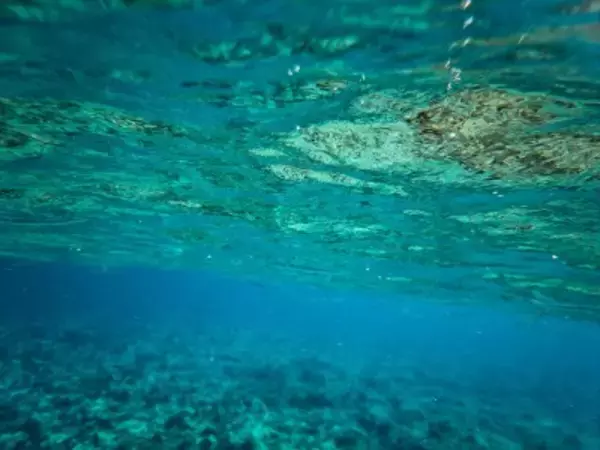 日本が南鳥島のレアアース試掘へ、中国ネット「精錬はどうする？」「匠の精神で…」