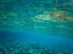 日本が南鳥島のレアアース試掘へ、中国ネット「精錬はどうする？」「匠の精神で…」