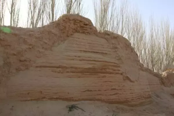 唐代安西都護府の高級役人の墓が新疆で発見