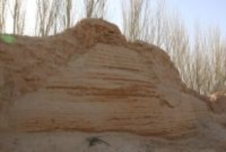 唐代安西都護府の高級役人の墓が新疆で発見