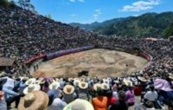 貴州省で大歓声響き渡るトン族の伝統行事「闘牛大会」―中国