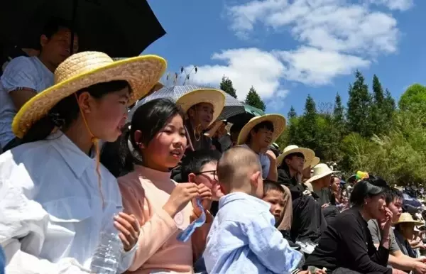 「貴州省で大歓声響き渡るトン族の伝統行事「闘牛大会」―中国」の画像