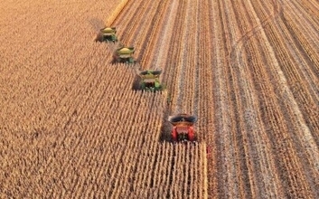 秋穀物の収穫が本格化、進捗は6割超える―中国